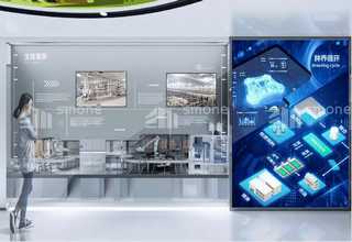 乐思2号银批发厂家