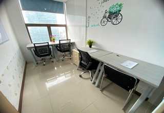 浙江天然草坪价钱