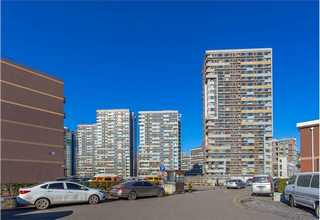 左右脑开发培养