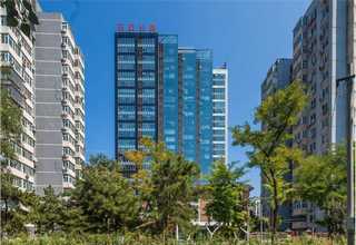 普陀区室内除甲醛