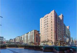 舟山纯粮酒品牌