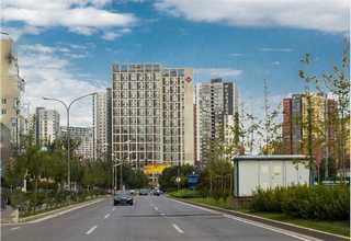 常州全新抛雪机供应