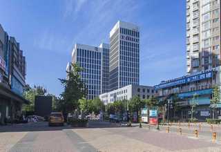 惠州野生海参多少钱一克