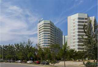 云南老班章普洱茶有散装的吗